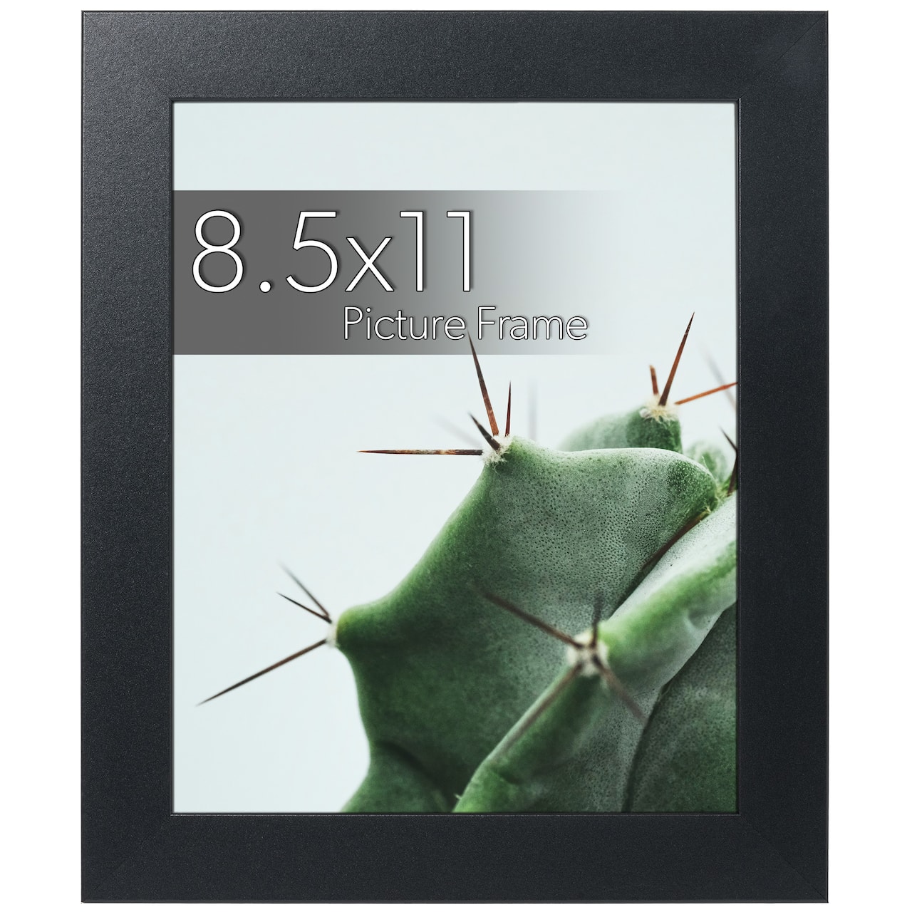 WallsThatSpeak Black Picture Frame with Easel and Glass